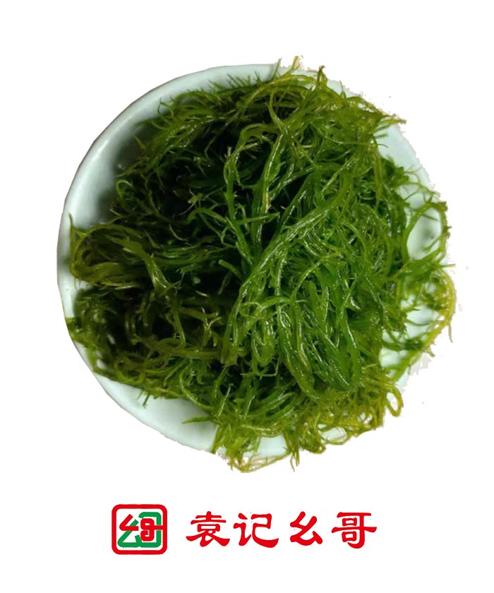 海草