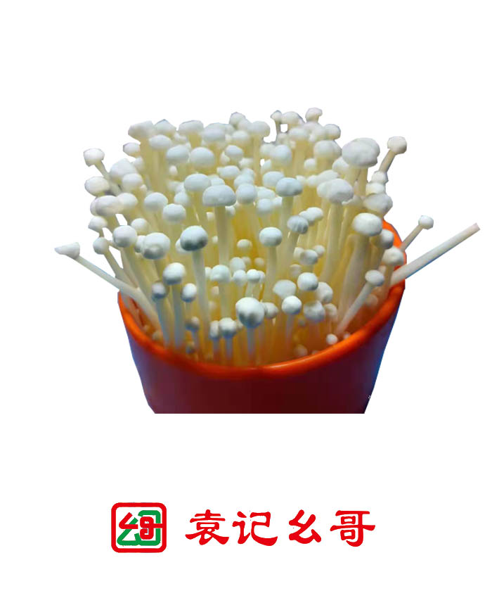 金针菇